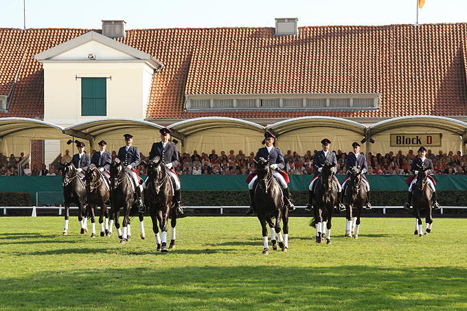 Celler Hengstparade - Celler Hengstparade - Rappenquadrille