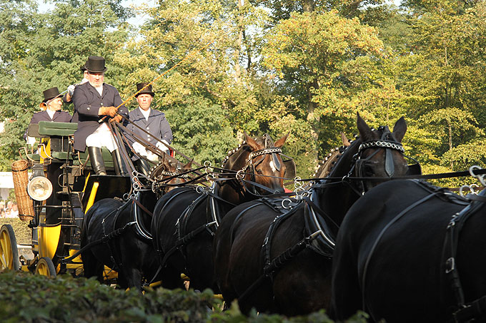 Celler Hengstparade - Celler Hengstparade - Zehnerzug
