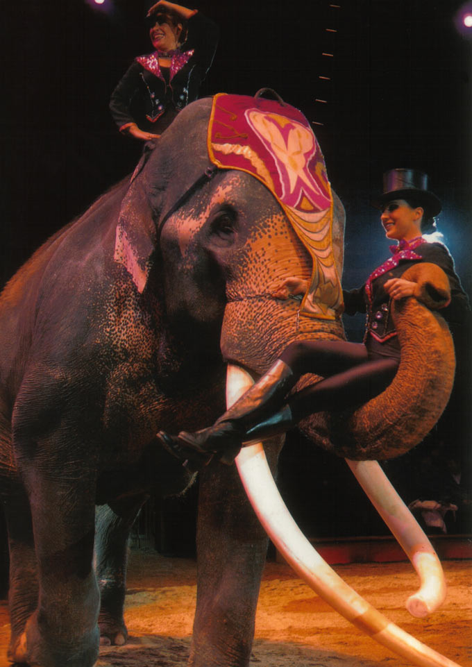 Circus Krone - Circus Krone