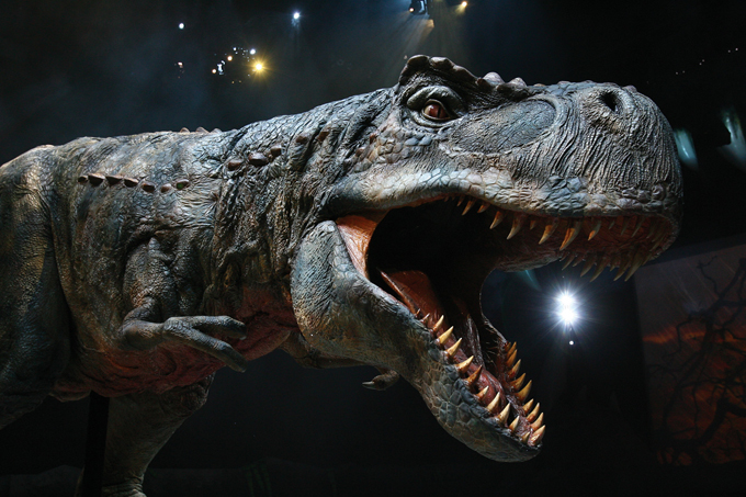 Dinosaurier - Im Reich der Giganten - Dinosaurier - Im Reich der Giganten