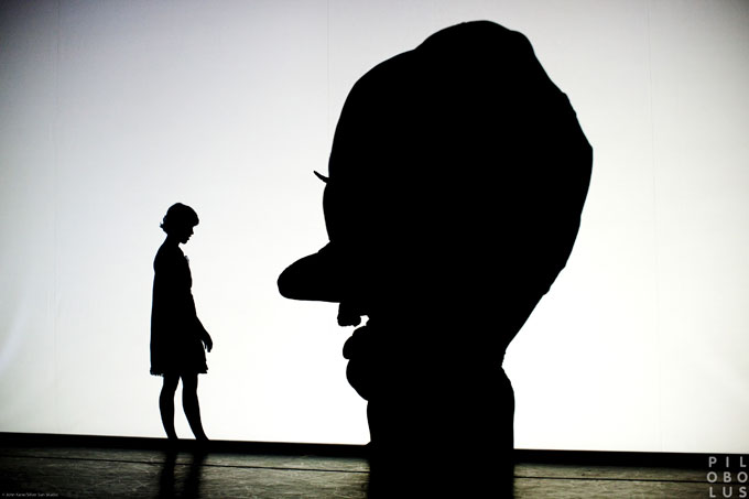 PILOBOLUS Dance Theatre Shadowland - PILOBOLUS Dance Theatre Shadowland