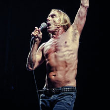 Iggy and the Stooges