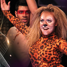 Showdance WM 2013 - Tickets