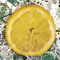 The Stone Roses