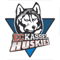 EC Kassel Huskies