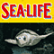Sea Life