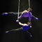 Circus Flic Flac