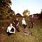 Element of Crime