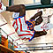 The Harlem Globetrotters