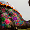Holi - Festival der Farben