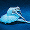 Schwanensee - Das Russische Nationalballett
