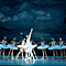Schwanensee - St. Petersburg Festival Ballett