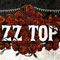 ZZ TOP + Special Guest: Blues Boy Dan