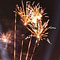 Aquarella Berlin - Schiffskorso mit Licht, Musik, Buffet  & Feuerwerk