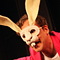 Der Hase und der Igel