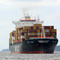 EXKURSION durch den Hamburger Hafen