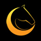Magic Horse Gala