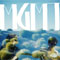 MGMT