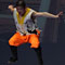 Die Meister des Shaolin Kung Fu