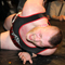 wXw Fans Appreciation Weekend 2013 // KOMBITICKET - Oberhausen