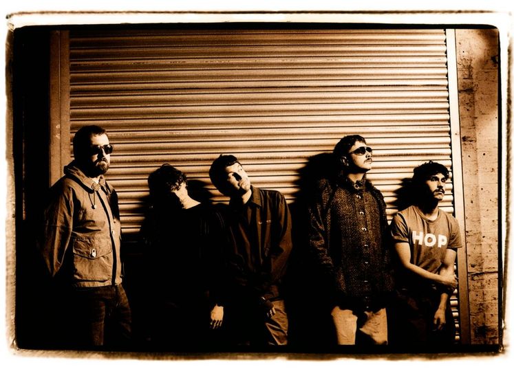 Bild: Steve Gullick