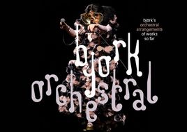 Im Sommer 2020 in der Berliner Waldbühne: BJÖRK