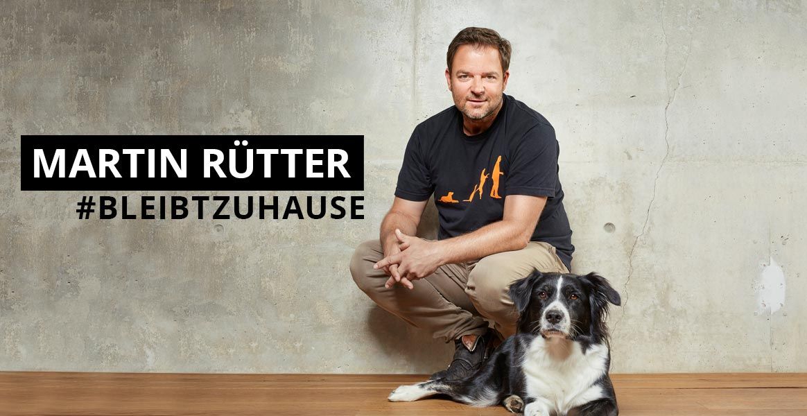 Bild: Alex Stiebritz