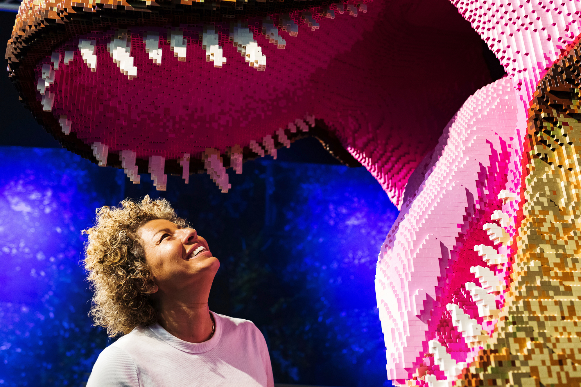 Bild: LEGO® Jurassic World: Die Ausstellung/FKP Scorpio