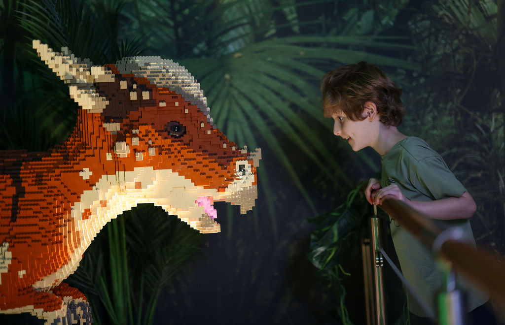 Bild: LEGO® Jurassic World: Die Ausstellung/FKP Scorpio