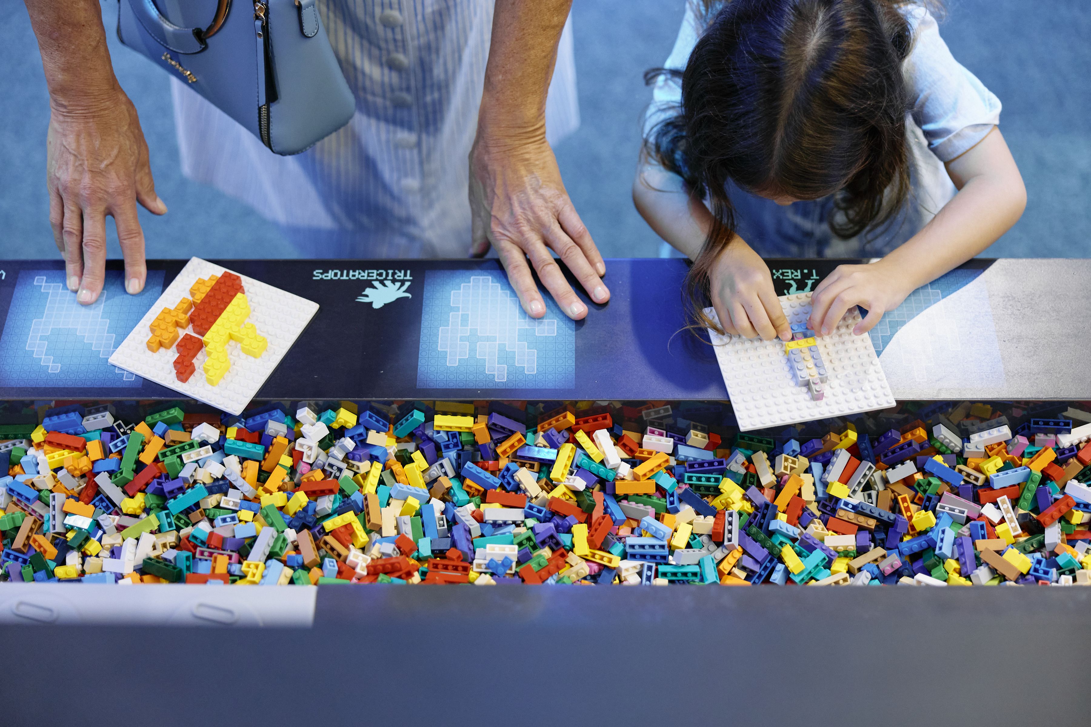 Bild: Markus Ravik/LEGO® Jurassic World: Die Ausstellung/FKP Scorpio