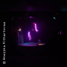 Essay on Light