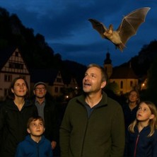 Fledermausf&uuml;hrung in Pottenstein |  Die Nacht der 1000 Flederm&auml;use