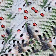 Ein Schmetterlingsabend - mit Dominik Eulberg, Natalia Eulberg und Thomas Hörren