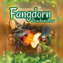 Fangdorn Drachenshow