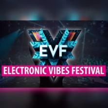 Electronic Vibes Festival | Feel the Beat. Live the Vibe