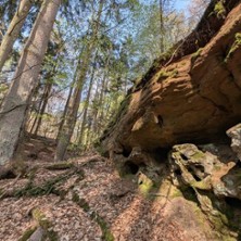 Coachingweg - Weil Veränderung Bewegung braucht!