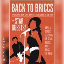 The Briccs + Star Guests!