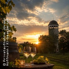 Stadtrundgang Burgstädt mit Wein - Ausblick vom Taurasteinturm