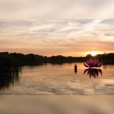 New Healing Festival 2027 - Eine Woche voller Music, Art & Inspiration