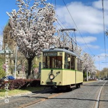 Exklusive Fotosonderfahrt mit Tw 96