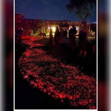 Feuerlauf Berlin &ndash;Erlebnisritual f&uuml;r Mut | ONFIRE - Feuerlauf Berlin/Brandenburg