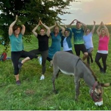 Eselyoga