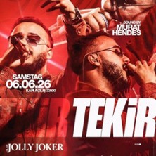 Tekir | Club Jolly Joker
