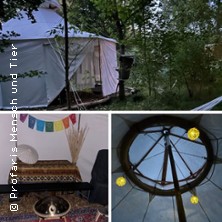 Kr&auml;uterwanderung