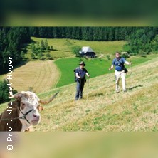 Schwarzwald - Direttissima wandern