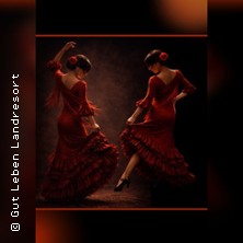 Flamenco Abend - Dinner Show - Ein Sommerabend voller Feuer und Musik