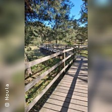 Barfu&szlig;spaziergang - Erdung des K&ouml;rpers