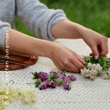 Wildkr&auml;uterspaziergang & Senfworkshop