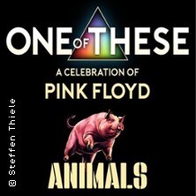 One of These Pink Floyd Tribute Live - A Celebration of Pink Floyd Animals