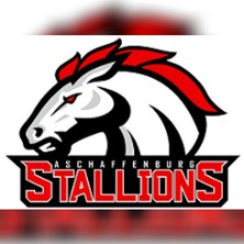 Heimspiele 2026 - Stadion am Schönbusch